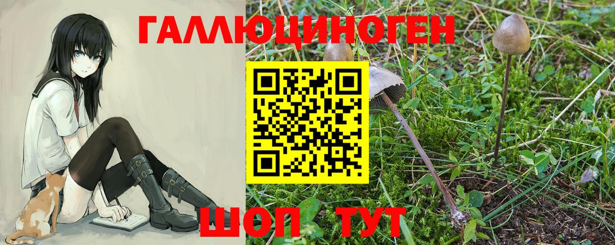 Псилоцибиновые грибы ЛСД Ангарск